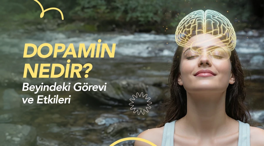 Dopamin Nedir ? Beyindeki Görevi ve Etkileri