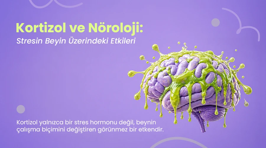Kortizol ve Nöroloji Stres Hormonunun Beyin Üzerindeki Etkileri