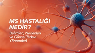 Prof. Dr. Alev Leventoğlu