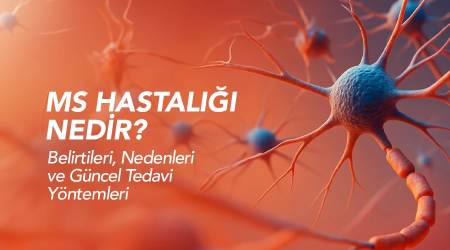 MS emes Hastalığı Nedir?