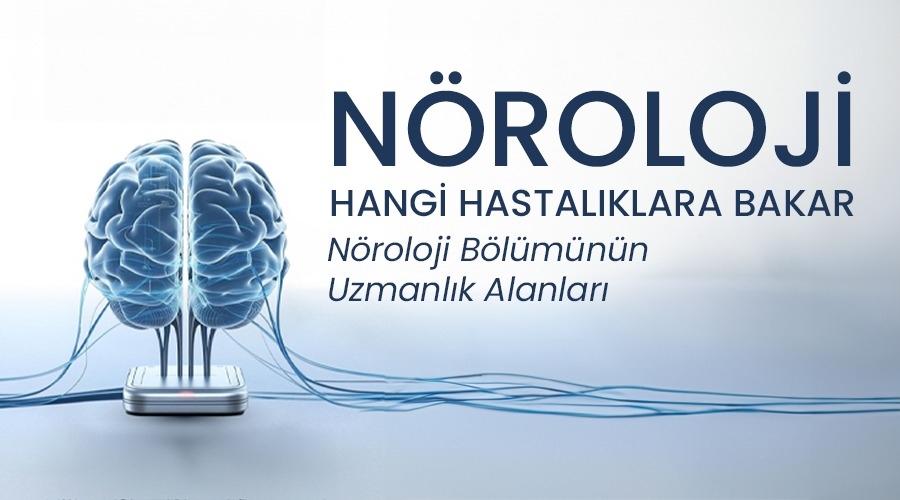 Nöroloji Hangi Hastalıklara Bakar Nöroloji Hangi Hastalıklara Bakar