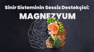 Prof. Dr. Alev Leventoğlu